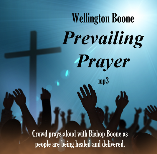 Prevailing Prayer (Buga! Buga!) MP3