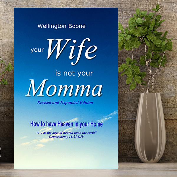 Your Wife Is Not Your Momma E-book Download
